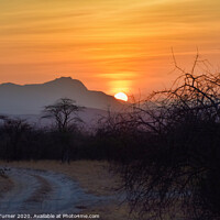 Buy canvas prints of African Sunrise by Tracey Turner