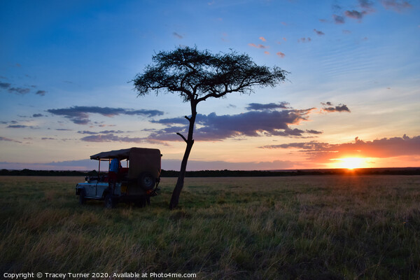 African Sundowner - Sunset in Kenya Picture Board by Tracey Turner