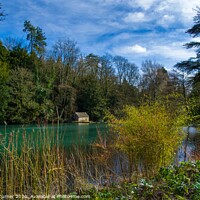Buy canvas prints of Lake View at Colesbourne Gardens  by Tracey Turner