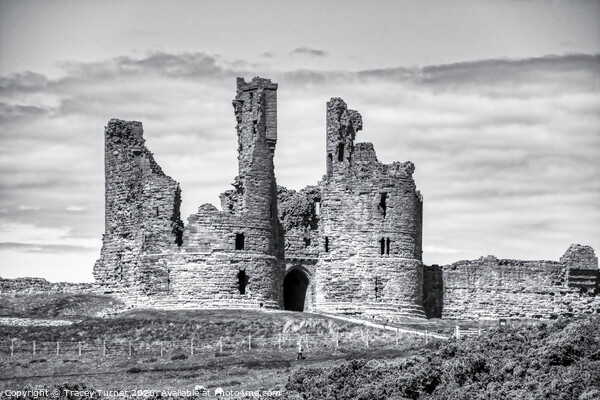 Ruins of Dunstanburgh Castle, Northumberland Picture Board by Tracey Turner