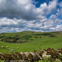 Buy canvas prints of The Dales by Tracey Turner