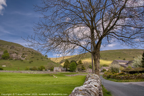 Buckden Village, Yorkshire Dales Picture Board by Tracey Turner