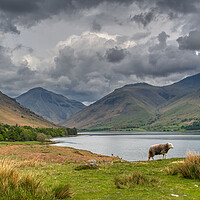 Buy canvas prints of Scafell Pike and Wast Water in the Lake District by Tracey Turner