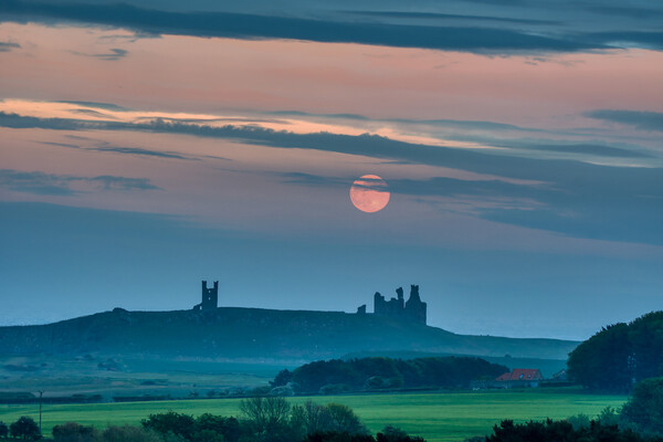 The Majestic Ruins of Dunstanburgh Castle Picture Board by Tracey Turner