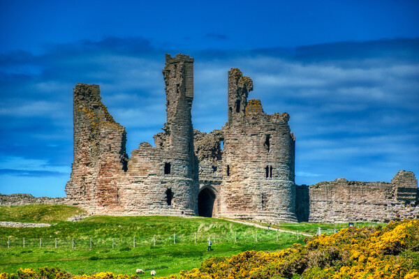 Dunstanburgh Castle, Northumberland Picture Board by Tracey Turner
