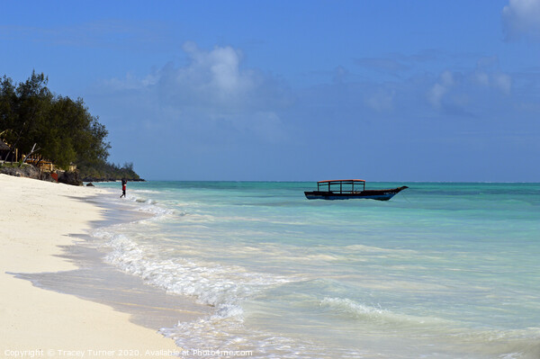Pongwe Beach in Zanzibar Picture Board by Tracey Turner