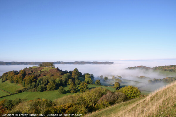 Mist Rising over Downham Hill & Cam Peak, Dursley Picture Board by Tracey Turner