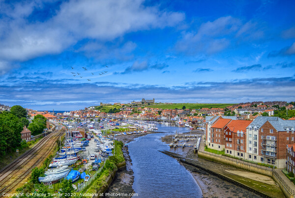 Wonderful Whitby Picture Board by Tracey Turner