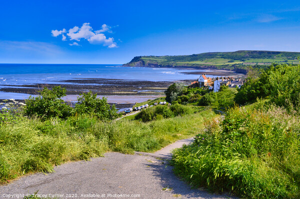 The Winding Path To Robin Hood's Bay Picture Board by Tracey Turner