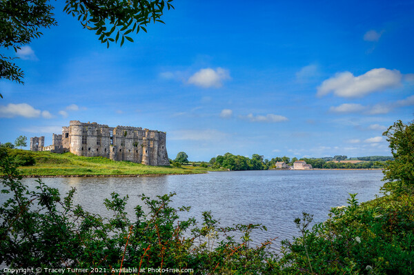 Carew Castle and Tidal Mill, Pembrokeshire Picture Board by Tracey Turner