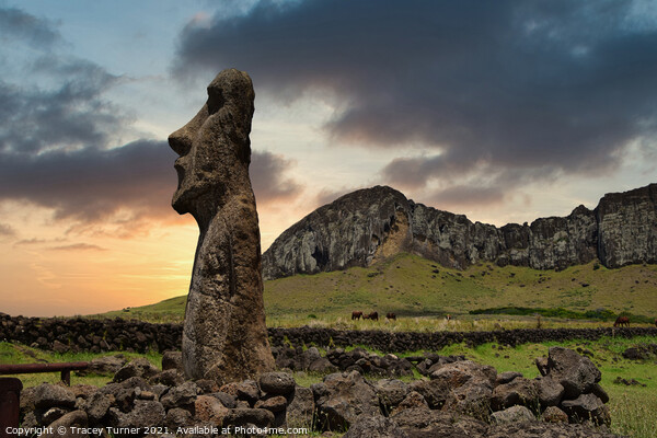 Mysterious Moai on Easter Island Picture Board by Tracey Turner