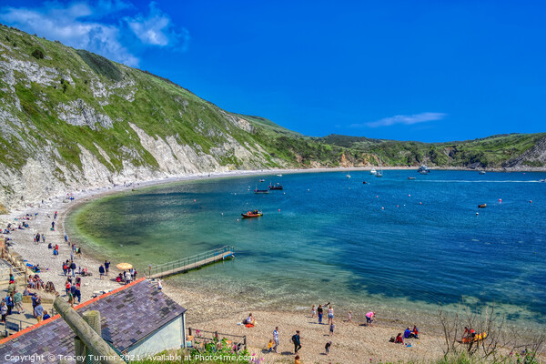Lulworth Cove in Dorset Picture Board by Tracey Turner