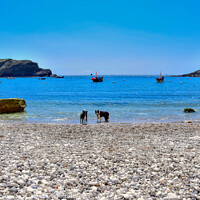 Buy canvas prints of Lulworth Cove in Dorset by Tracey Turner