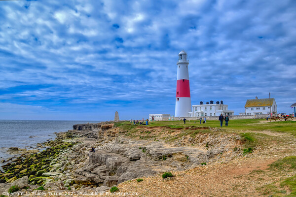 Portland Bill Lighthouse Picture Board by Tracey Turner