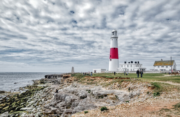 Portland Bill Picture Board by Tracey Turner