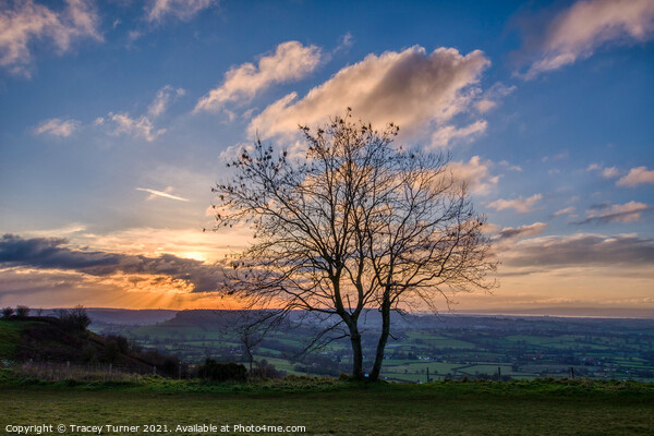 Sunset over Gloucestershire Picture Board by Tracey Turner