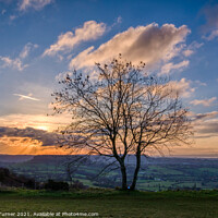 Buy canvas prints of Sunset over Gloucestershire by Tracey Turner