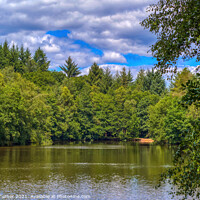 Buy canvas prints of Speech House Lake, Forest of Dean by Tracey Turner