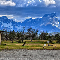 Buy canvas prints of 'On Guard' - A Dog on lookout in Patagonia, Chile by Tracey Turner