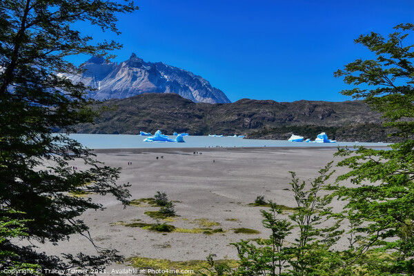 'View to Lake Grey' - Glacial lake in Patagonia, C Picture Board by Tracey Turner