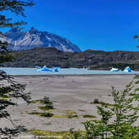 Buy canvas prints of 'View to Lake Grey' - Glacial lake in Patagonia, C by Tracey Turner