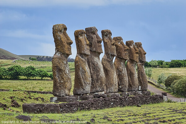 Moai Statues at Ahu Akivi on Easter Island Picture Board by Tracey Turner