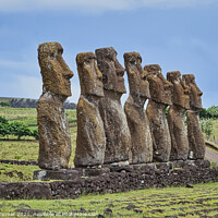 Buy canvas prints of Moai Statues at Ahu Akivi on Easter Island by Tracey Turner