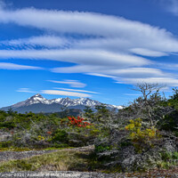 Buy canvas prints of Torres Del Paine National Park in Chile by Tracey Turner