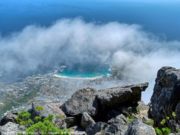 Cape Town from the top of Table Mountain Picture Board by Tracey Turner