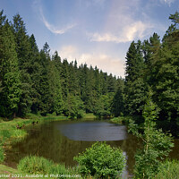 Buy canvas prints of Soudley Ponds in the Forest of Dean by Tracey Turner
