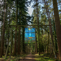 Buy canvas prints of The Stained Glass Window - Forest of Dean by Tracey Turner
