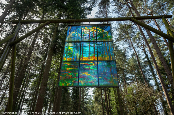Forest Cathedral Stained Glass Window Picture Board by Tracey Turner
