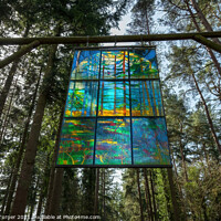 Buy canvas prints of Forest Cathedral Stained Glass Window by Tracey Turner