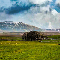 Buy canvas prints of A snow flecked Pen-Y-Ghent by Jim Day
