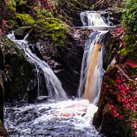Buy canvas prints of Ingleton Waterfalls Trail by Jim Day