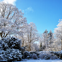 Buy canvas prints of Snow in April about to Thaw by Martin Davis