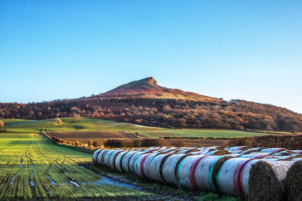 Roseberry Topping and Bales Picture Board by Martin Davis