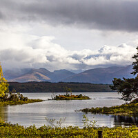 Buy canvas prints of Loch Lochy Inlet by Martin Davis