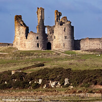 Buy canvas prints of Dunstanburgh Castle by Martin Davis