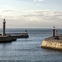 Buy canvas prints of Whitby Harbour Entrance by Martin Davis