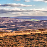 Buy canvas prints of North York Moors from Percy Cross Rigg by Martin Davis