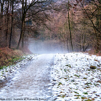 Buy canvas prints of A Cold Walk in Guisborough Forest by Martin Davis