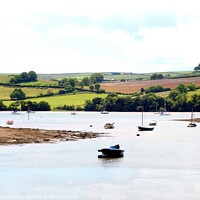 Buy canvas prints of River Dart at Stoke Gabriel in Devon, UK. by john hill