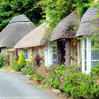 Buy canvas prints of  Thatch at Blackpool in Devon. by john hill