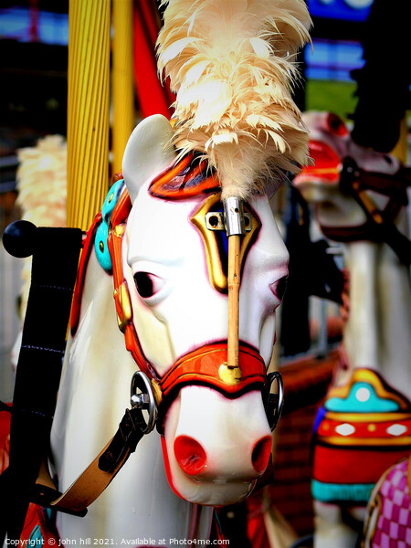 Merry-go-round horse with plumage. Picture Board by john hill