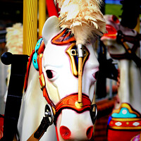 Buy canvas prints of Merry-go-round horse with plumage. by john hill
