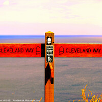 Buy canvas prints of Cleveland Way coastal footpath by john hill