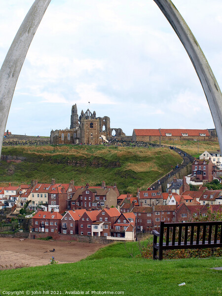 Whitby whale bone arch. Picture Board by john hill