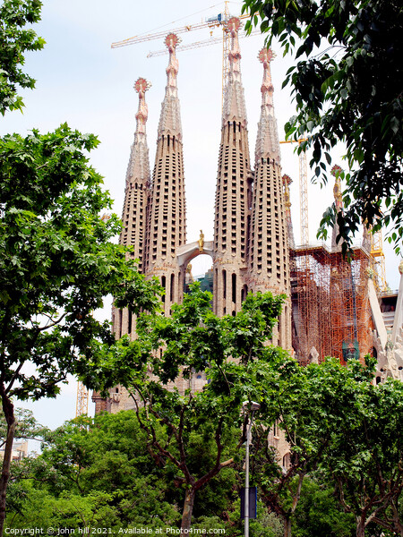 Sagrada Família at Barcelona in Spain. Picture Board by john hill