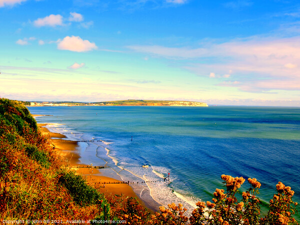 Sandown bay from Shanklin cliffs on the Isle of Wight Picture Board by john hill